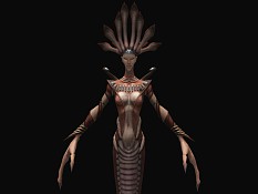 ꡼ No.031Υͥ / ֥åɡ֡ 쥯׷쥹ΨȰǤηɤҲ