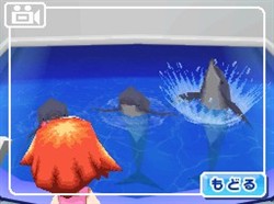 ꡼ No.009 | 륫ڥ󥮥󤿤ȿ礨롪 NDS֤ߤʤο²ۡפ2010ǯ3ȯ