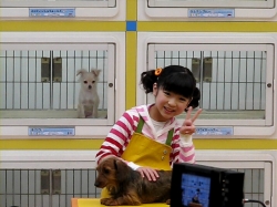 画像ギャラリー No.003のサムネイル画像 / 「みんなの水族館」「ペットショップ物語 DS 2」CM制作の様子を公開