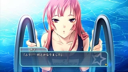 ꡼ No.041 | 륱ߥȤοɥ٥㡼֤Ρդȡפ225ȯPVǥХХ˾Ҳ