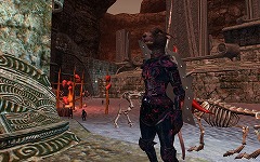 画像ギャラリー No.015のサムネイル画像 / 懐かしの「Odus(オーダス)」を見てみよう。「EverQuest II」最新拡張パック「Sentinel's Fate」の最新スクリーンショットとムービーを掲載