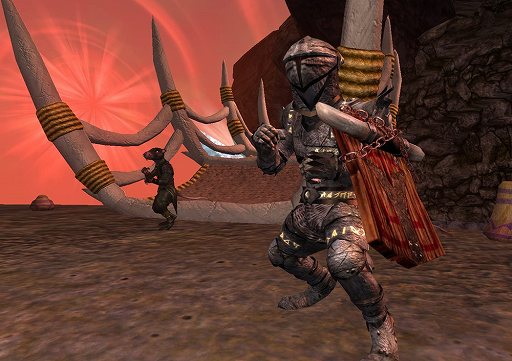 ꡼ No.005Υͥ / EverQuest II׺ǿĥѥåSentinel's FateפΡ3̵ڡɤ档ʤĤΡHalasȯɤ⡤⤦