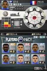 サカつくDS ワールドチャレンジ2010