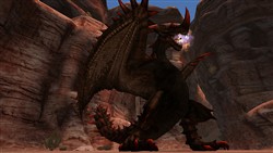 ���������꡼ No.021�Υ���ͥ������ / Xbox 360�ǡ֥�󥹥����ϥ󥿡� �ե���ƥ��� ����饤��ס��ץ��⡼����󥵥��Ȥ��������졤�ȥե���ƥ����ɥ��ꥸ�ʥ��󥹥����ξ�������