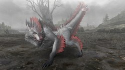 ���������꡼ No.022�Υ���ͥ������ / Xbox 360�ǡ֥�󥹥����ϥ󥿡� �ե���ƥ��� ����饤��ס��ץ��⡼����󥵥��Ȥǡȥ٥륭������ɤ�ȥѥꥢ�ץꥢ�ɡ��ȥ��륬����ɤξ�������