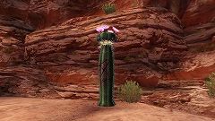 ���������꡼ No.003�Υ���ͥ������ / Xbox 360�ǡ֥�󥹥����ϥ󥿡� �ե���ƥ��� ����饤��ץץ��⡼����󥵥��ȹ�������5��ξ���ϥޥåפ���񡤿���������ι���ˤĤ��Ƥ�