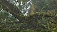 ���������꡼ No.006�Υ���ͥ������ / Xbox 360�ǡ֥�󥹥����ϥ󥿡� �ե���ƥ��� ����饤��ץץ��⡼����󥵥��ȹ�������5��ξ���ϥޥåפ���񡤿���������ι���ˤĤ��Ƥ�