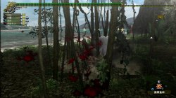 画像ギャラリー No.040のサムネイル画像 / Xbox 360に新風を巻き起こすオンラインゲームになるか? Xbox 360版「モンスターハンター フロンティア オンライン」クローズドβテストレポート