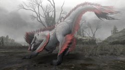 ꡼ No.017 | PCǿ͵Ρ֥󥹥ϥ󥿡 եƥ 饤פϡXbox 360Ǥɤߤ줿MHFĥץǥ塼ˤʹƤߤ