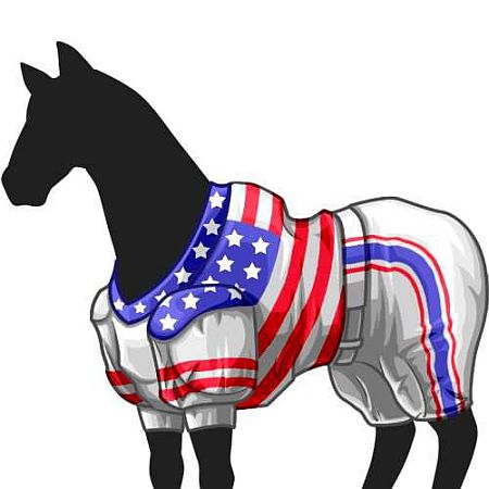 画像ギャラリー No.006のサムネイル画像 / 「ダービー×ダービー」,「全米ミッドサマーレース」が開催。限定レースは5つ