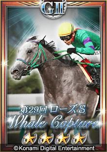 ���������꡼ No.006�Υ���ͥ������ / ��������붥�ϥ�����֥ɥ꡼�ॹ���ꥪ��פλ�����Ͽ���Х�������������