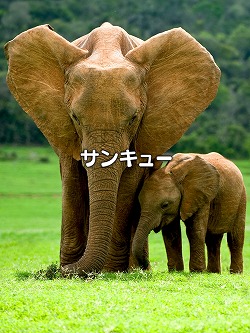 ���������꡼ No.004�Υ���ͥ������ / ������iPad�ѥ��������ѥ����Weather Touch�פ������ۿ�