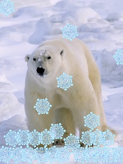 ���������꡼ No.005�Υ���ͥ������ / ������iPad�ѥ��������ѥ����Weather Touch�פ������ۿ�