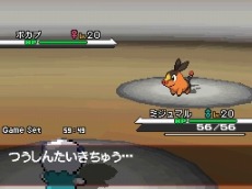 ���������꡼ No.027�Υ���ͥ������ / ̤�ΤΥݥ���󡤿����ʿ޴ա��֥ݥ��åȥ�󥹥����֥�å����ۥ磻�ȡס����ץ���饯�����ȥ���饮��Ρɤ��о졣�������줿�̿���ǽ�ˤ����ܤ��褦