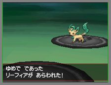 ���������꡼ No.013�Υ���ͥ������ / �֥ݥ���������������֡ס��ֿ��Ƥ���Ĵ���ġפˡֵ�ˤ����µܡפ��о졣������Ĵ�������ɤ�Ȥä��µܤ�ĩ�路��������̤�����ߤ˱��礷�褦