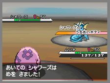 ���������꡼ No.015�Υ���ͥ������ / �֥ݥ���������������֡ס��ֿ��Ƥ���Ĵ���ġפˡֵ�ˤ����µܡפ��о졣������Ĵ�������ɤ�Ȥä��µܤ�ĩ�路��������̤�����ߤ˱��礷�褦