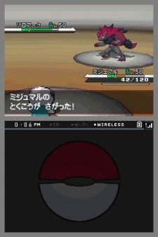 ポケモンブラック ホワイト ポケモンプレゼント情報が公開 バークアウトを覚えたゾロアーク サトシのズルッグ をプレゼント
