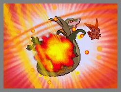 ���������꡼ No.006�Υ���ͥ������ / �֥ݥ��åȥ�󥹥����֥�å����ۥ磻�ȡס�7��16��������������ݥ����ǲ�Ȥ�Ϣư���ȯɽ���������������ä����̤ʡ֥ӥ��ƥ��ˡפ��餪��