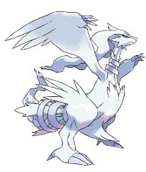 ���������꡼ No.008�Υ���ͥ������ / �����奲���� �ݥ���������󡪡ס�1�̤ϥ�å��������֥ݥ���� �֥�å����ۥ磻�ȡפǻ��Ѳ�ǽ�ˡ�2��10����������Υ����ࡤ���谷Ź�����۳���