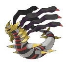 ���������꡼ No.009�Υ���ͥ������ / �����奲���� �ݥ���������󡪡ס�1�̤ϥ�å��������֥ݥ���� �֥�å����ۥ磻�ȡפǻ��Ѳ�ǽ�ˡ�2��10����������Υ����ࡤ���谷Ź�����۳���