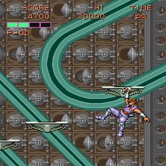 ꡼ No.006Υͥ / ̾ɥ֥ȥ饤εפä