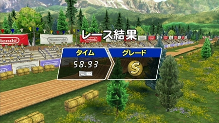 ���������꡼ No.008�Υ���ͥ������ / �������Υ졼�������बWii�������ˤʤä��о졣�֥��������ȥХ��� ���ɥ졼���������ۿ�