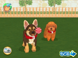 ꡼ No.010Υͥ / 2ɤƱ˻ƸΰǽˤʤäNDS֤襤ƸDS3פ318ȯ