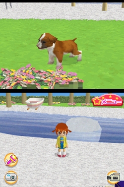 ꡼ No.012Υͥ / 2ɤƱ˻ƸΰǽˤʤäNDS֤襤ƸDS3פ318ȯ