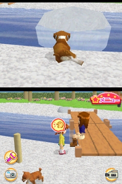 ꡼ No.013Υͥ / 2ɤƱ˻ƸΰǽˤʤäNDS֤襤ƸDS3פ318ȯ