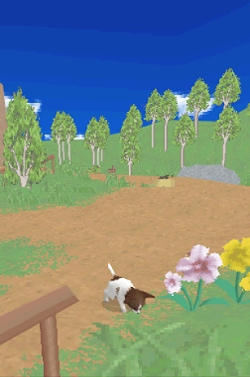 ꡼ No.015Υͥ / 2ɤƱ˻ƸΰǽˤʤäNDS֤襤ƸDS3פ318ȯ