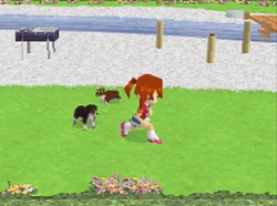 ꡼ No.016Υͥ / 2ɤƱ˻ƸΰǽˤʤäNDS֤襤ƸDS3פ318ȯ