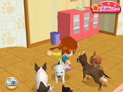 かわいい仔犬DS bloggm.com.br
