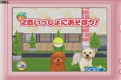 画像ギャラリー No.002のサムネイル画像 / 「かわいい仔犬DS3」の公式サイトがオープン。TV CM映像の仔犬を見てデレデレしちゃおう