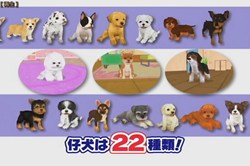 画像ギャラリー No.004のサムネイル画像 / 「かわいい仔犬DS3」の公式サイトがオープン。TV CM映像の仔犬を見てデレデレしちゃおう