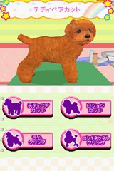 画像ギャラリー No.011のサムネイル画像 / 「かわいい仔犬DS3」の公式サイトがオープン。TV CM映像の仔犬を見てデレデレしちゃおう