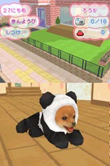 画像ギャラリー No.012のサムネイル画像 / 「かわいい仔犬DS3」の公式サイトがオープン。TV CM映像の仔犬を見てデレデレしちゃおう