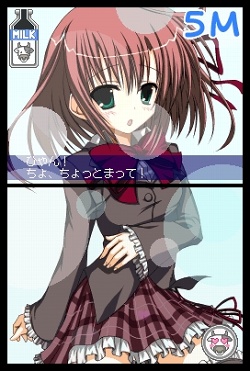 ꡼ No.009 | ̲ΰ¸ -DS̲-325ȯ­ᤤ۳ر̲ݡ