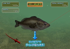 ���������꡼ No.007�Υ���ͥ������ / �֥Х��ե��å���Wii ���ɥȡ��ʥ��ȡ׸��������Ȥ������ץ�