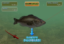 ���������꡼ No.006�Υ���ͥ������ / Wii�⡼�����ץ饹�б����ܳ���ꥢ�������֥Х��ե��å���Wii ���ɥȡ��ʥ��ȡס������������ƥ������������ȯ��