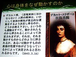 ꡼ No.007 | CEDEC 2010ϴĴֱ顧ǽȾδСҥȤαεˡʡͤ