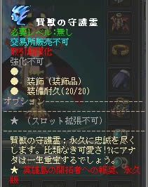 画像ギャラリー No.005のサムネイル画像 / 「英雄島」に新規登録してプレイヤーに追従する「守護霊」をもらおう