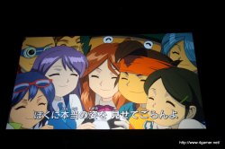 画像ギャラリー No.011のサムネイル画像 / 3700人以上のファンが集い,T-Pistonz+KMCのライブや声優陣のトークショウなど盛りだくさんの内容となった,「イナズマイレブン3発売記念 ファン感謝祭」レポート