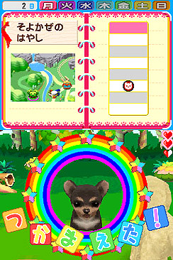 画像ギャラリー No.004のサムネイル画像 / さあ,癒されまくろう。タイトー,NDS用ソフト「ペットショップ物語DS 2」を4月1日にリリース