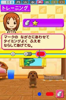ペットショップ物語ds 2 芸を覚えさせたペットをコンテストに出場させて優勝を目指そう