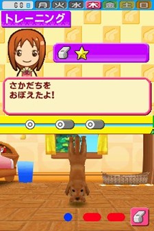 ꡼ No.002 | ֥ڥåȥåʪDS 2׷ݤФڥåȤ򥳥ƥȤ˽о줵ܻͥؤ