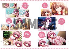 ꡼ No.010Υͥ / 륱ߥȡɥ٥㡼֥Υ֥ͥ󡪡Rebirth knotפ527ȯꡣǡͽŵ