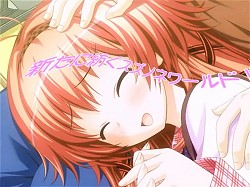 ꡼ No.008Υͥ / ҥǧǤ֥Υ֥ͥRebirth knotפΥץ⡼ࡼӡ