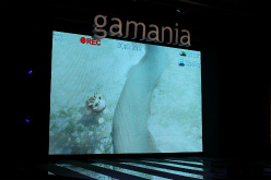 ꡼ No.007 | ޥ˥ѤΥ˥ҤȤ˥ǲҡTwo TigersΩ1Ƥ3D˥ֶ̹áJade Armorˡפϥ饤󥲡Ÿ