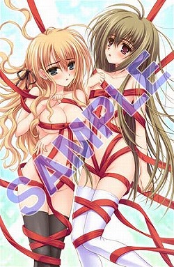 ꡼ No.003Υͥ / 429ȯͽꤹֲϤФޤƤ PortableפŹŵ饹ȤѤʡ