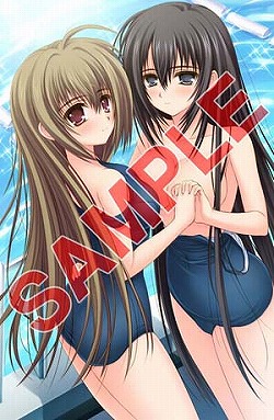 ꡼ No.004Υͥ / 429ȯͽꤹֲϤФޤƤ PortableפŹŵ饹ȤѤʡ